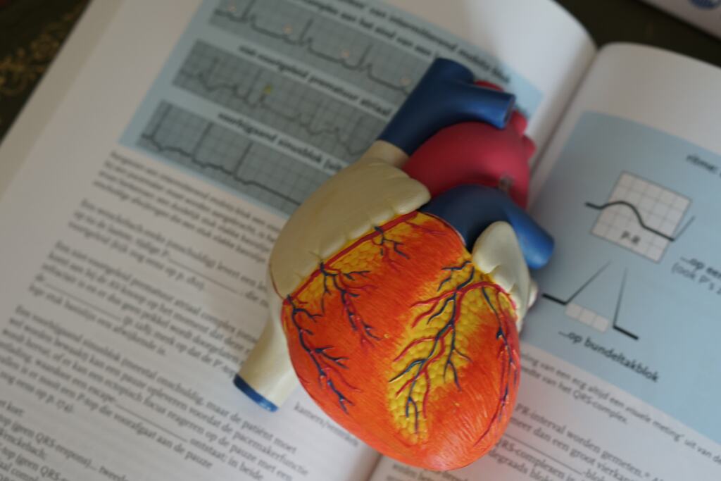 CPR Certificate for Tattoo Artist