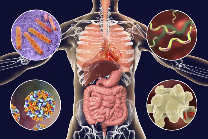 Common Bloodborne Pathogens